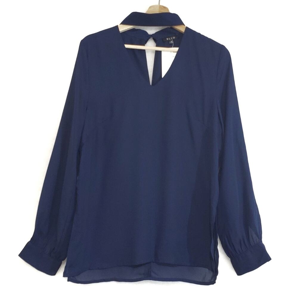 BLVD | Choker Keyhole Sheer Long Sleeve Blouse